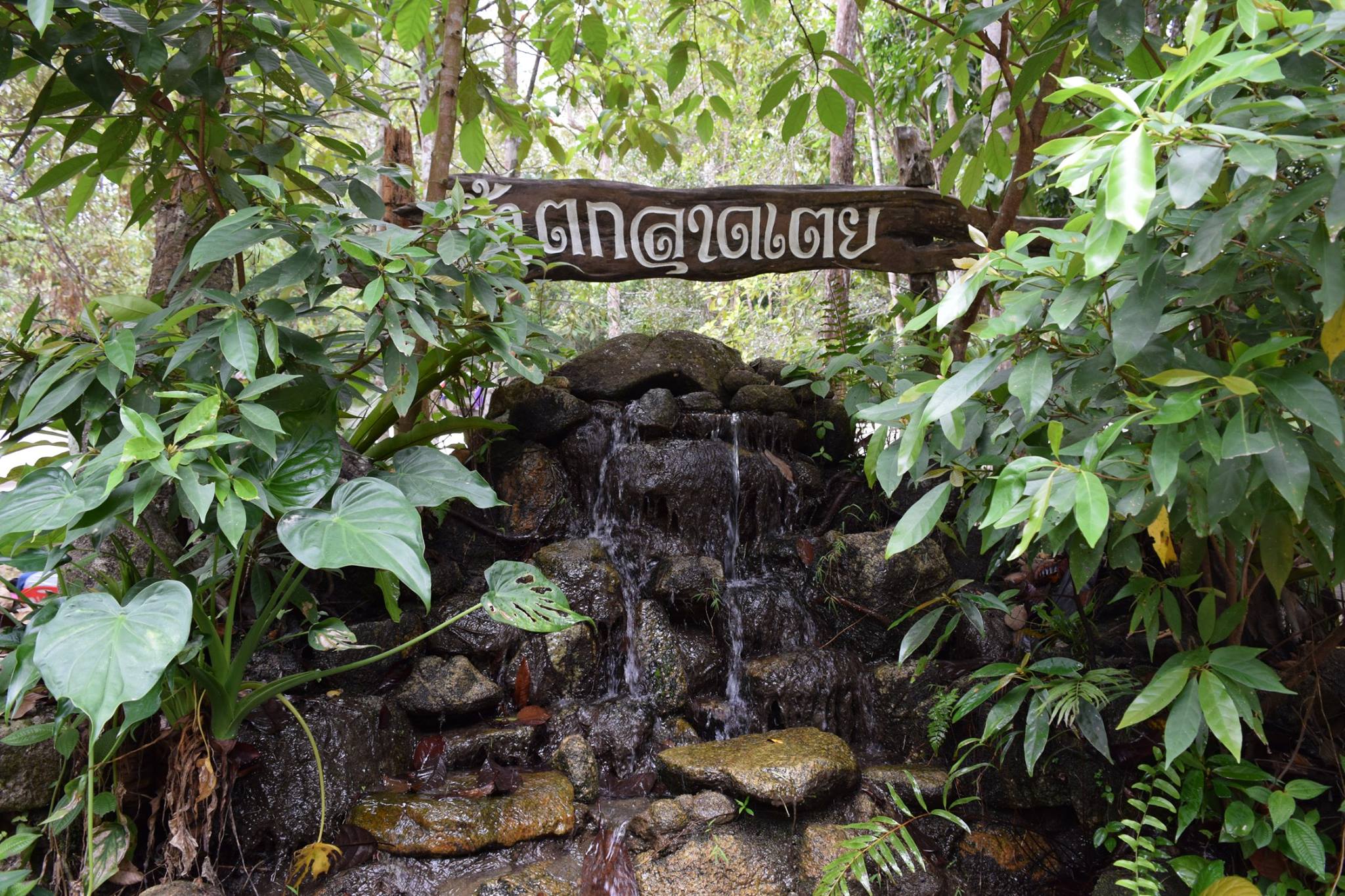 น้ำตกลาดเตย เป็นสถานที่ท่องเที่ยวของตำบลคลองใหญ่